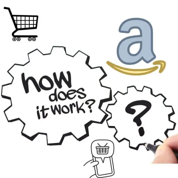 How Amazon Works